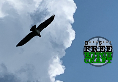 14. Gender and Witchcraft